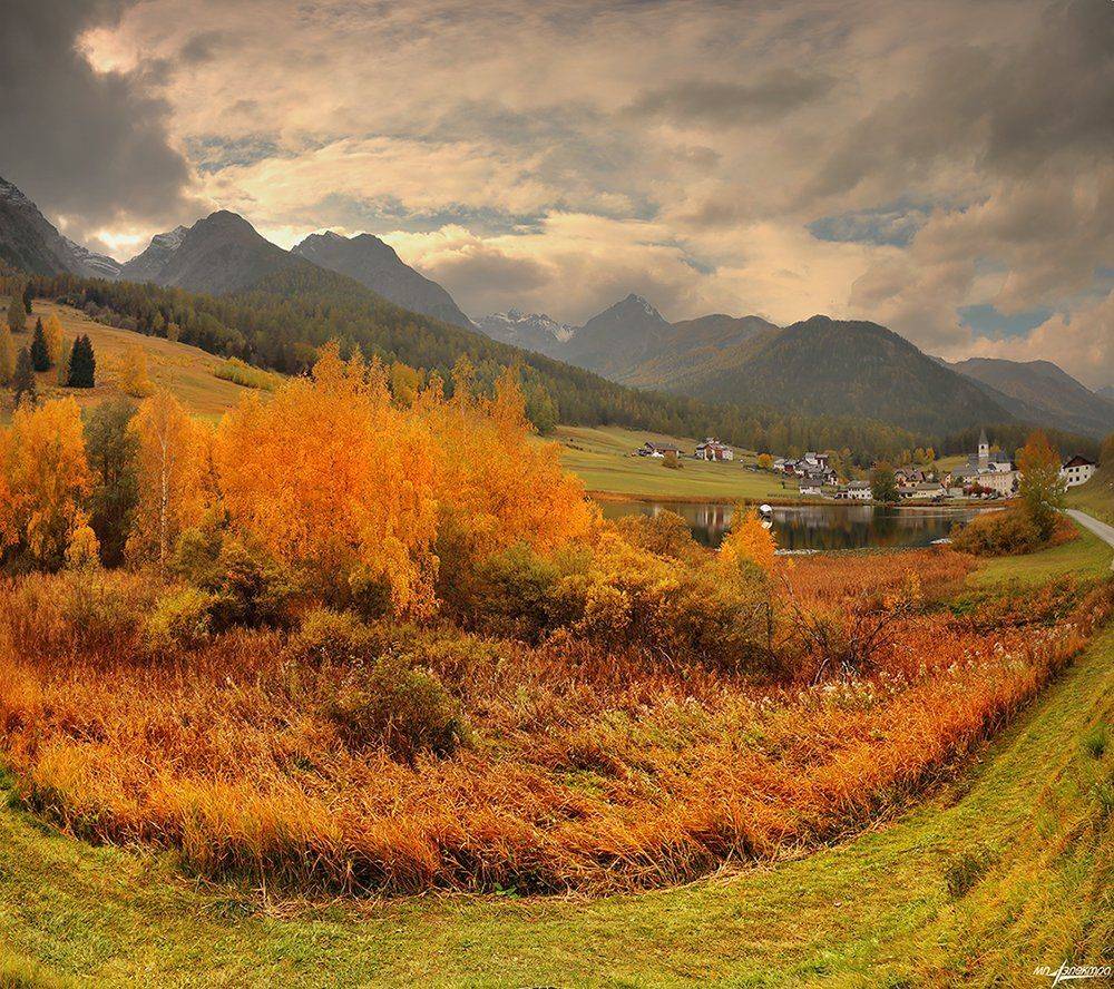 swiss, Матвеев Николай