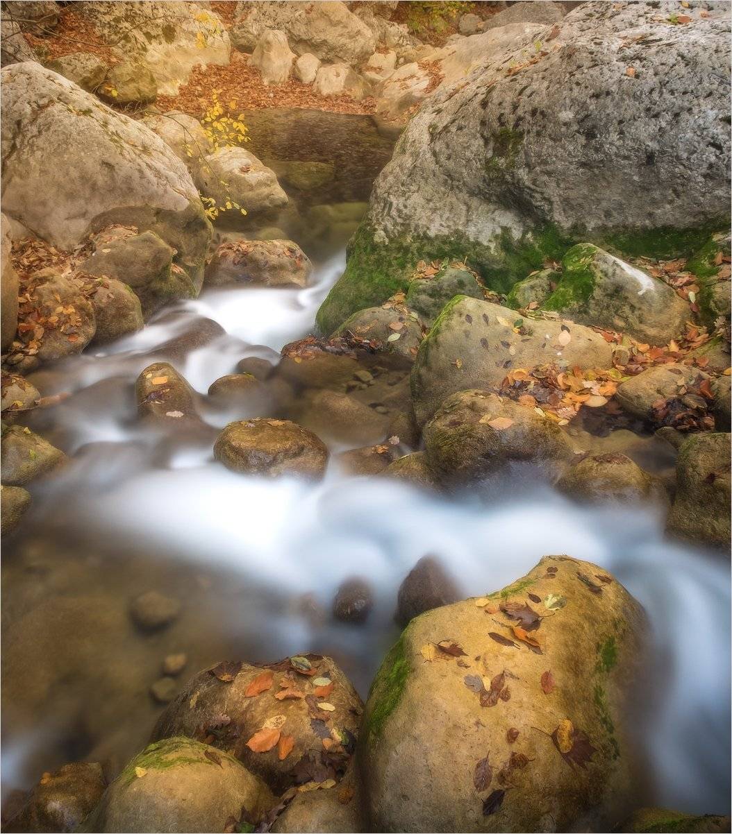 , Михаил Гапонов