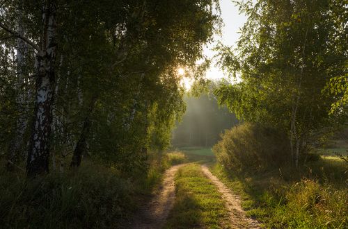 Солнечное утро уходящего лета