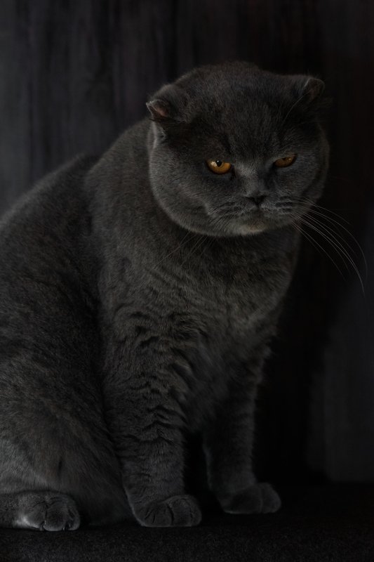 Макс :) фото превью