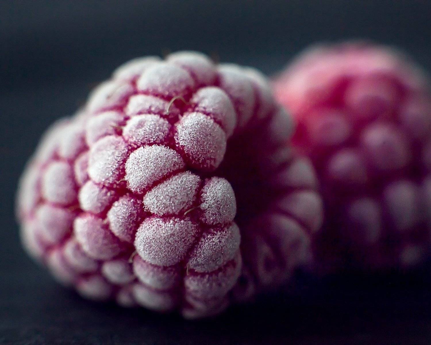 красные, ягоды, иней, Лилия Павлова