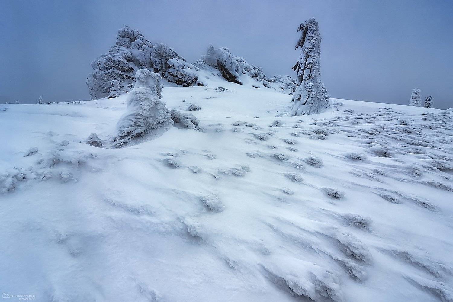 пермский край, зима, пейзаж, елки, Антон Кошетаров