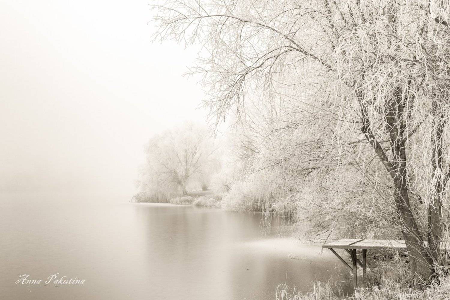 , Анна Пакутина