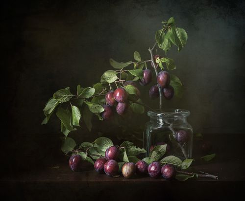 В моем саду поспела слива