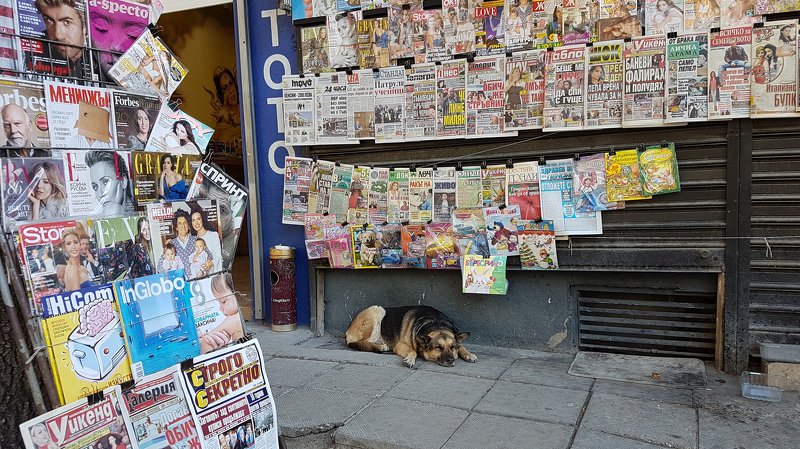 фото превью