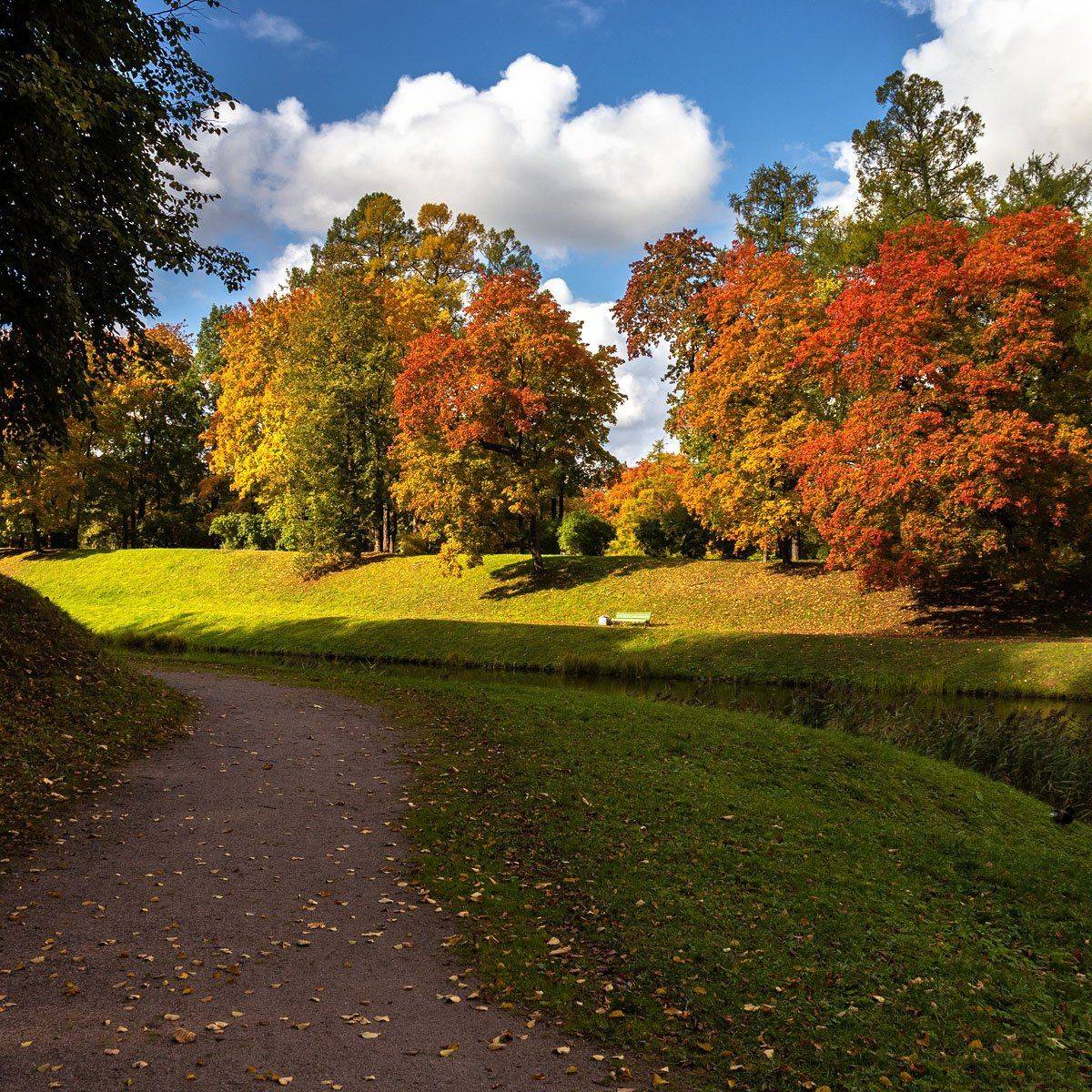 , Алексей Герасимов