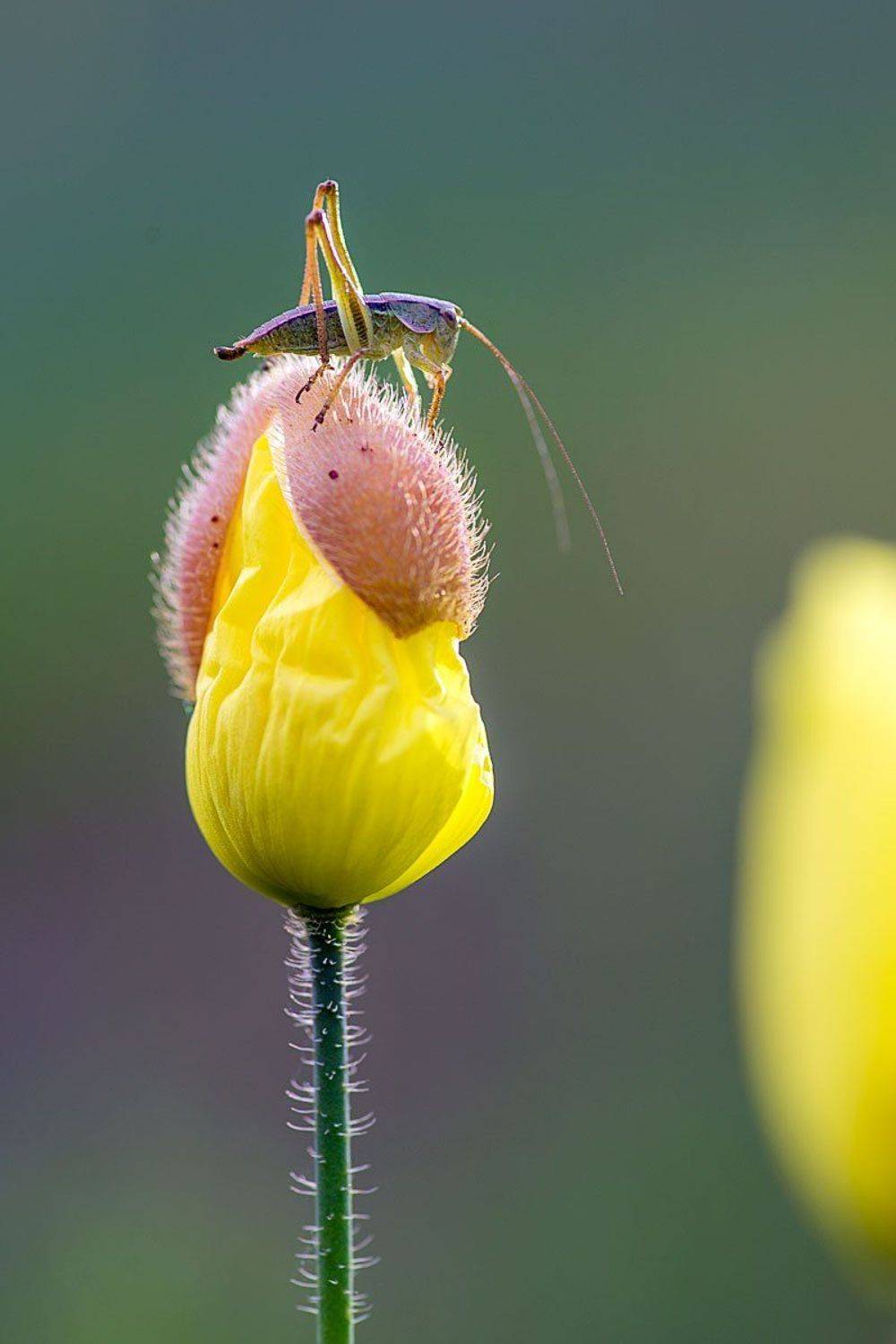 , Сергей Брагин