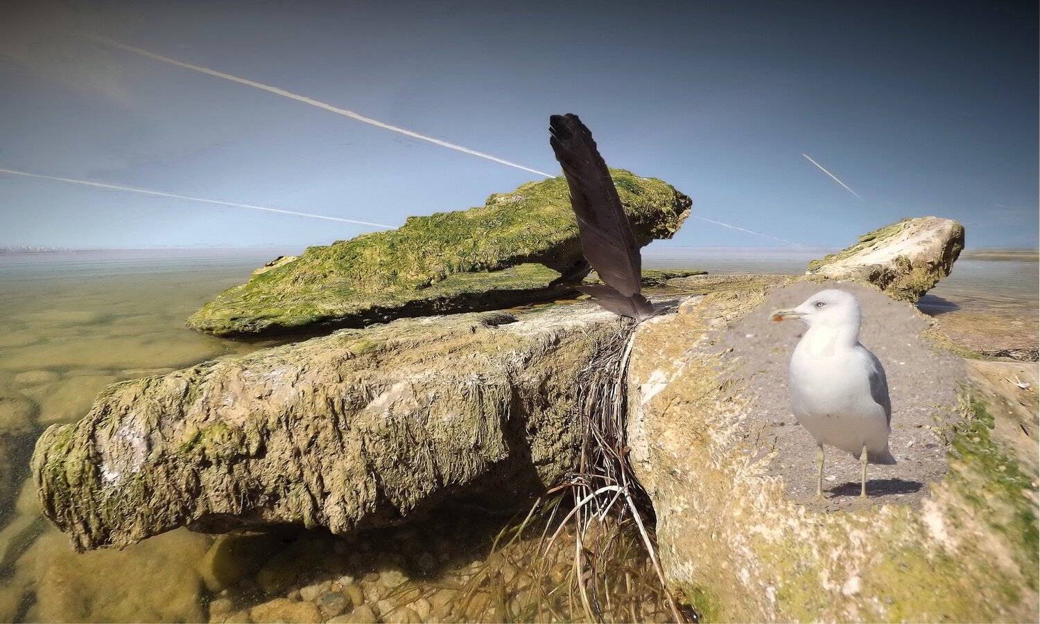 одесса, Сергей Кошелев