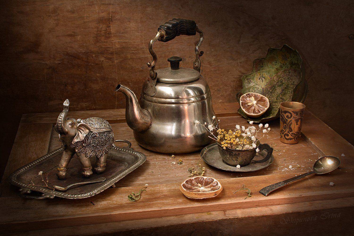 , Шипунова Ирина