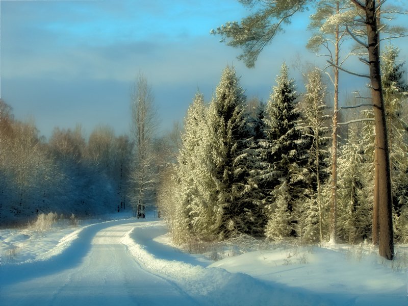 winters day фото превью