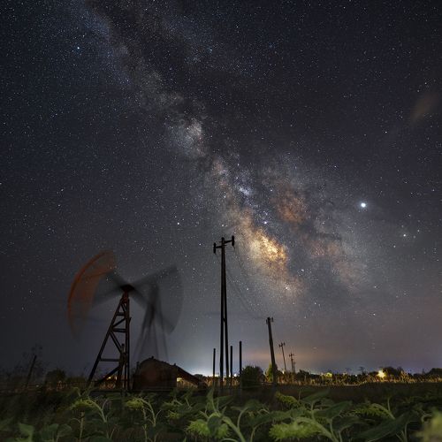 When sunflowers fаll asleep, only the heart beat of the оil pump keeps the Earth spinning around.