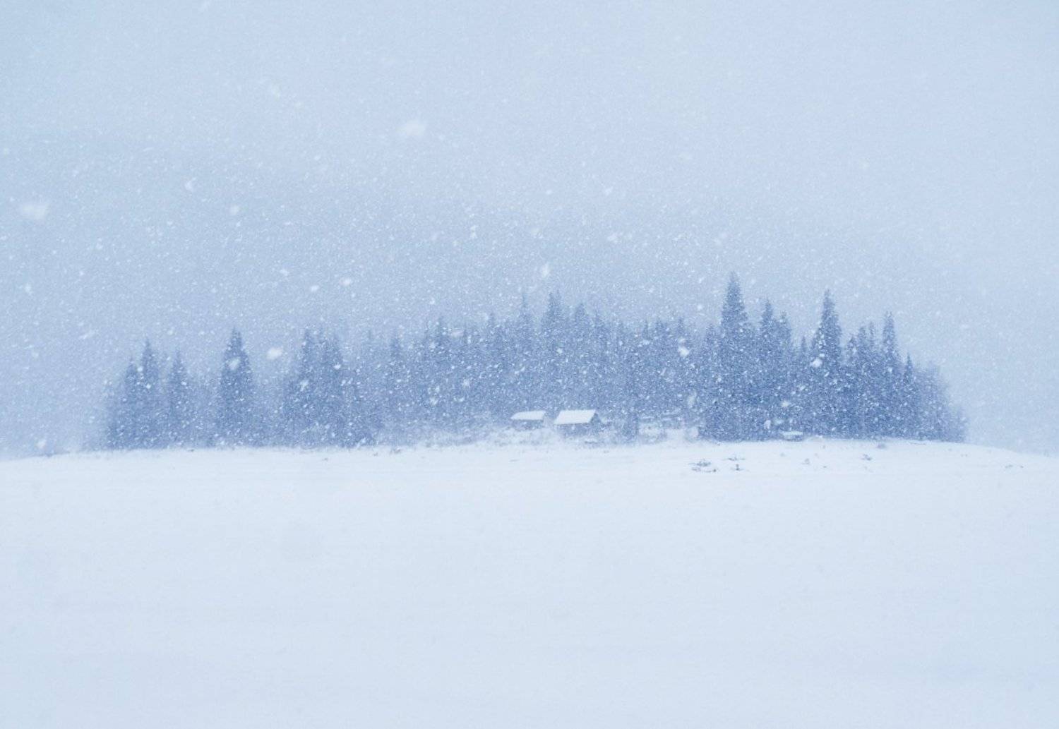 зима, снег, Лена Стогова