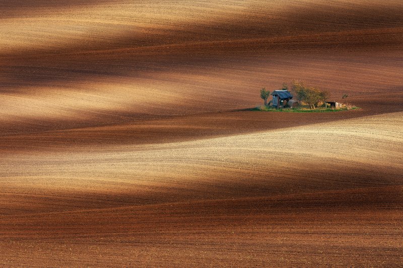 Moravian oasis фото превью