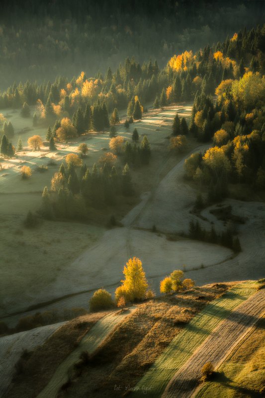 Osturňa fields. фото превью