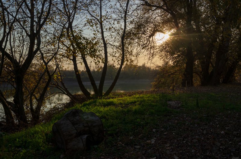 Осень в декабре фото превью