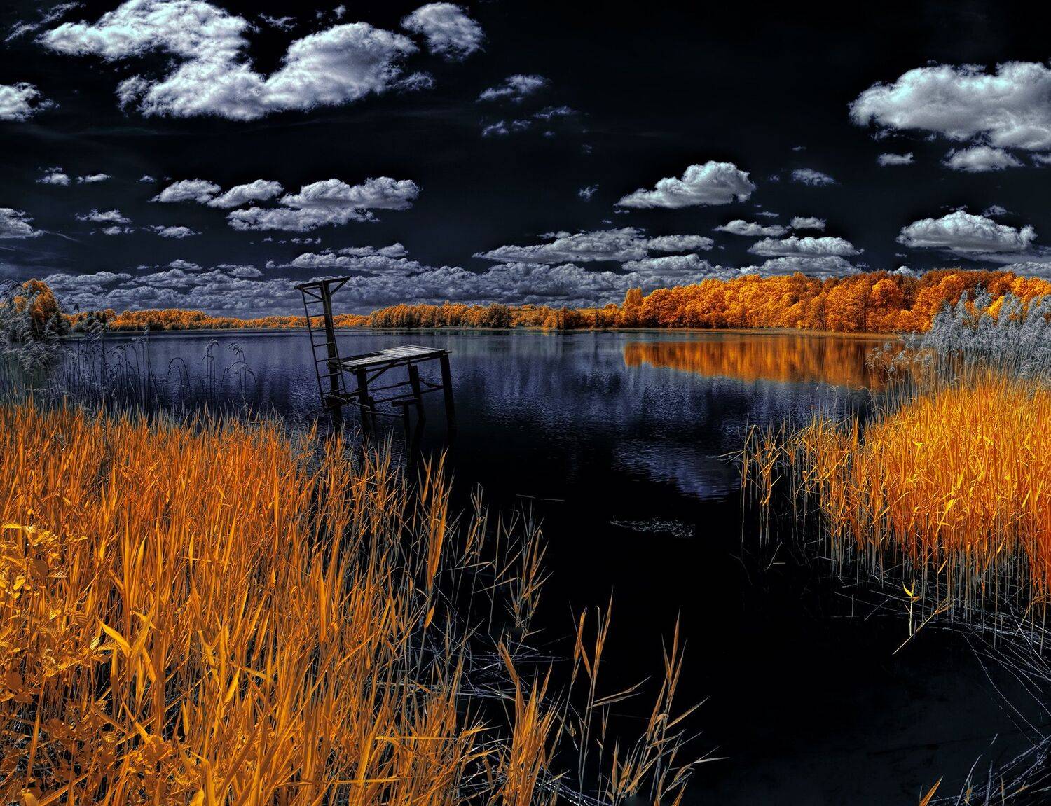 infrared,ик-фото,инфракрасное фото, инфракрасная фотография, пейзаж, весна, Sixten ( Сергей )