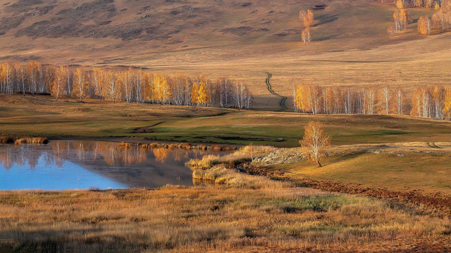 , Леонид Максименко