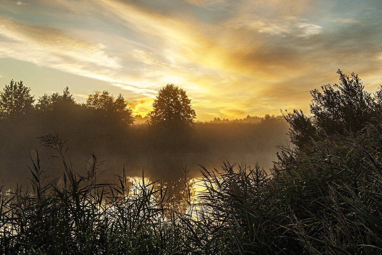 Пейзаж., Михаил Пшеннов