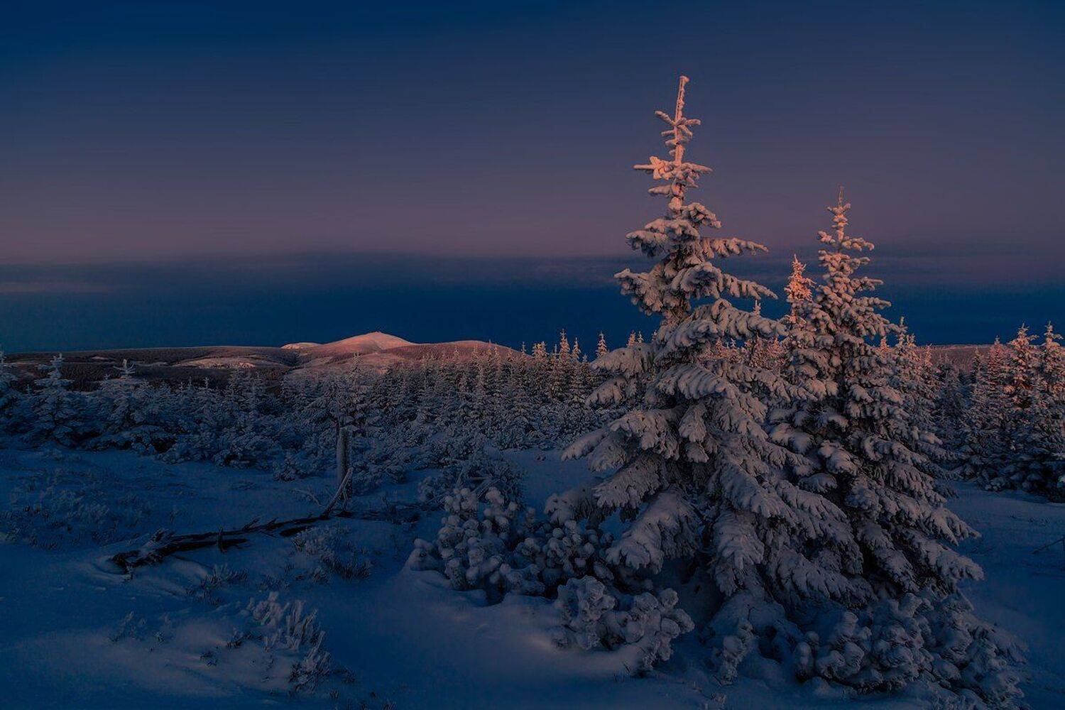winter,mountains,canon,sunrise, Iza i Darek Mitręga