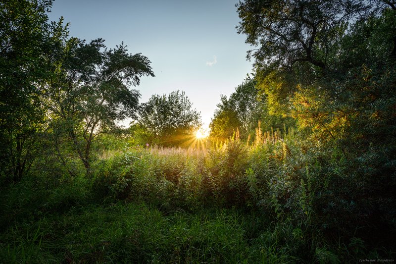 Сказка в Александровском парке. фото превью