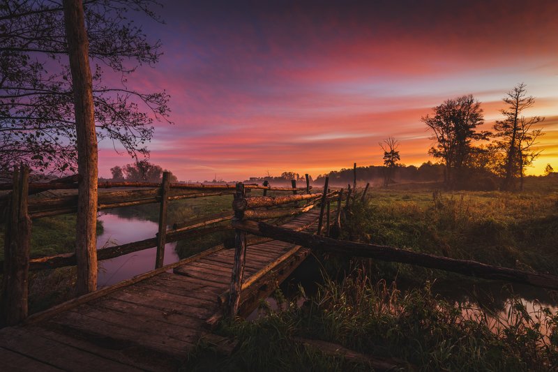 Bridge in the morning фото превью