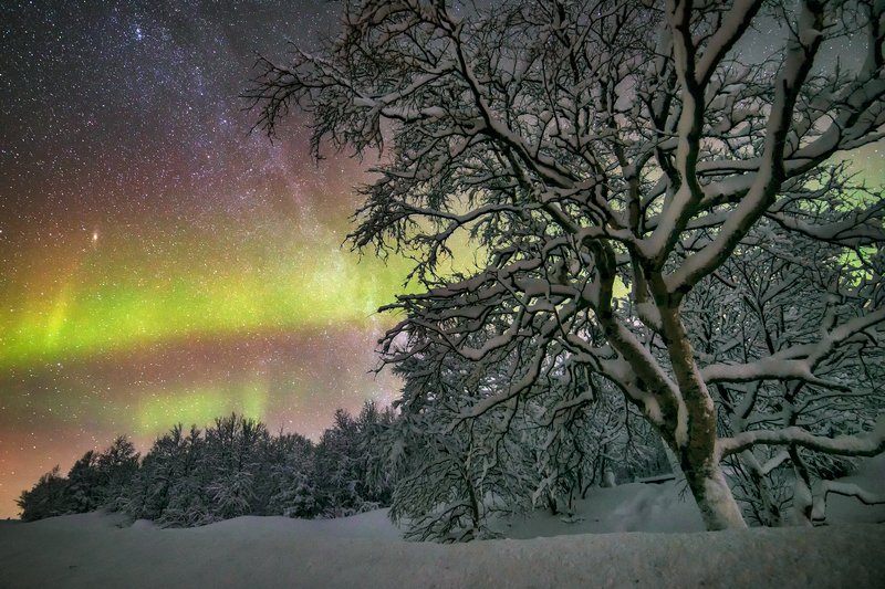 ...... фото превью