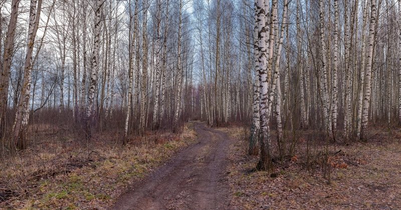 Снег будет только в феврале фото превью
