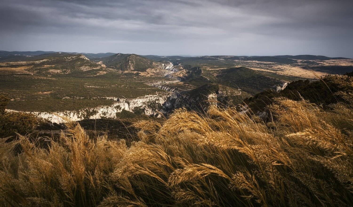 поле, трава, горы, Александр Безмолитвенный