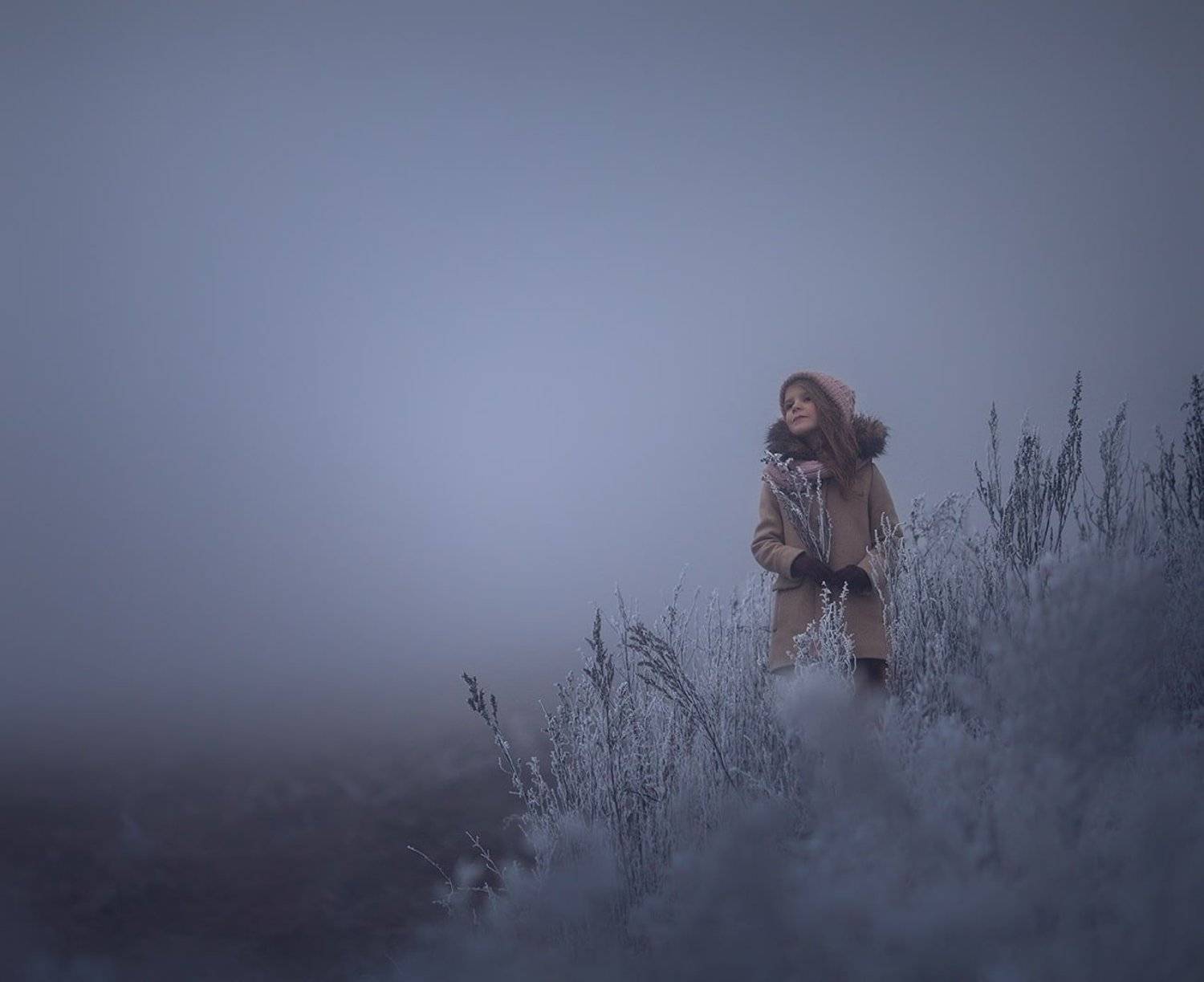 , Дарья Степанова