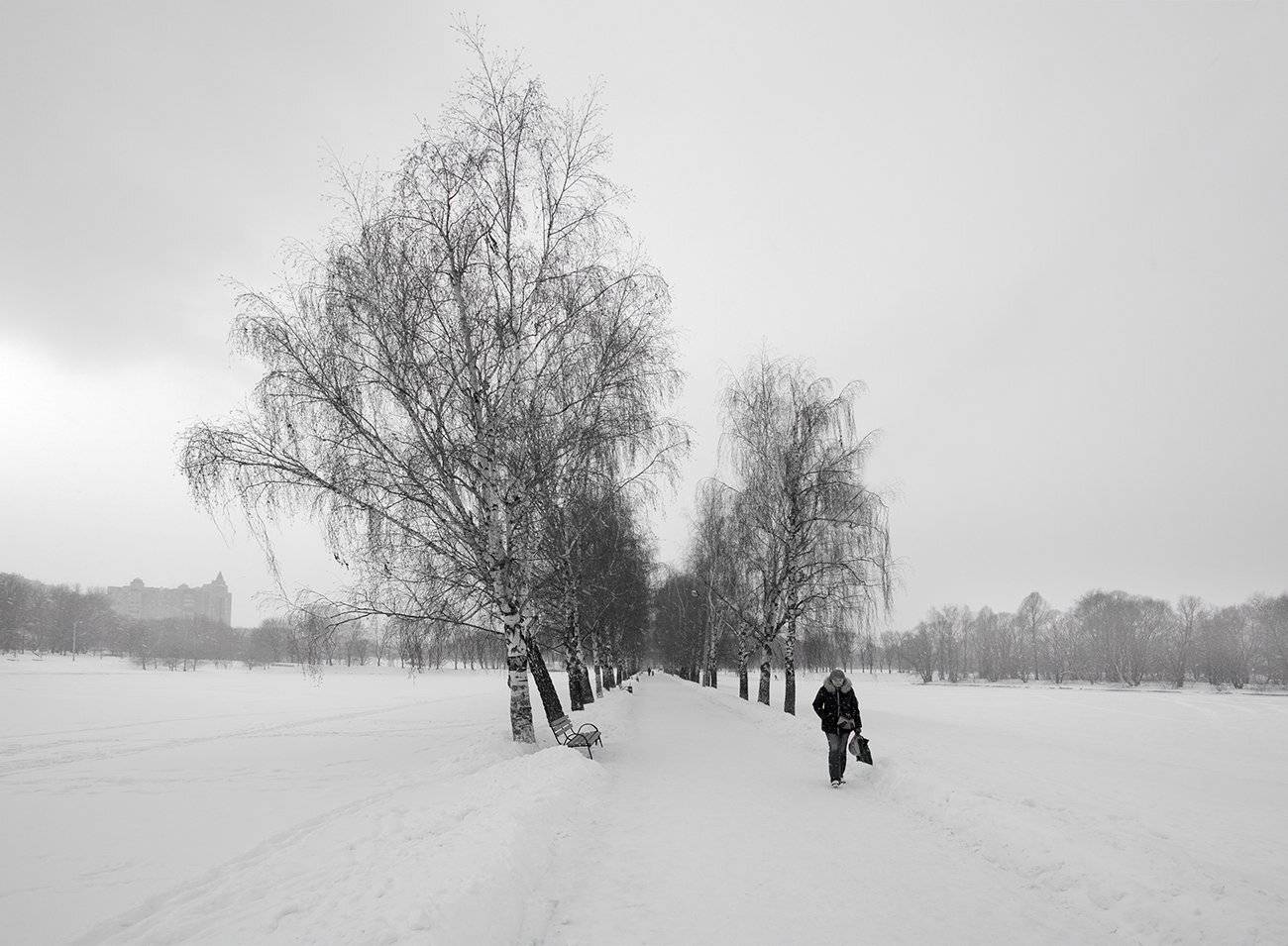 , Борис Леваков