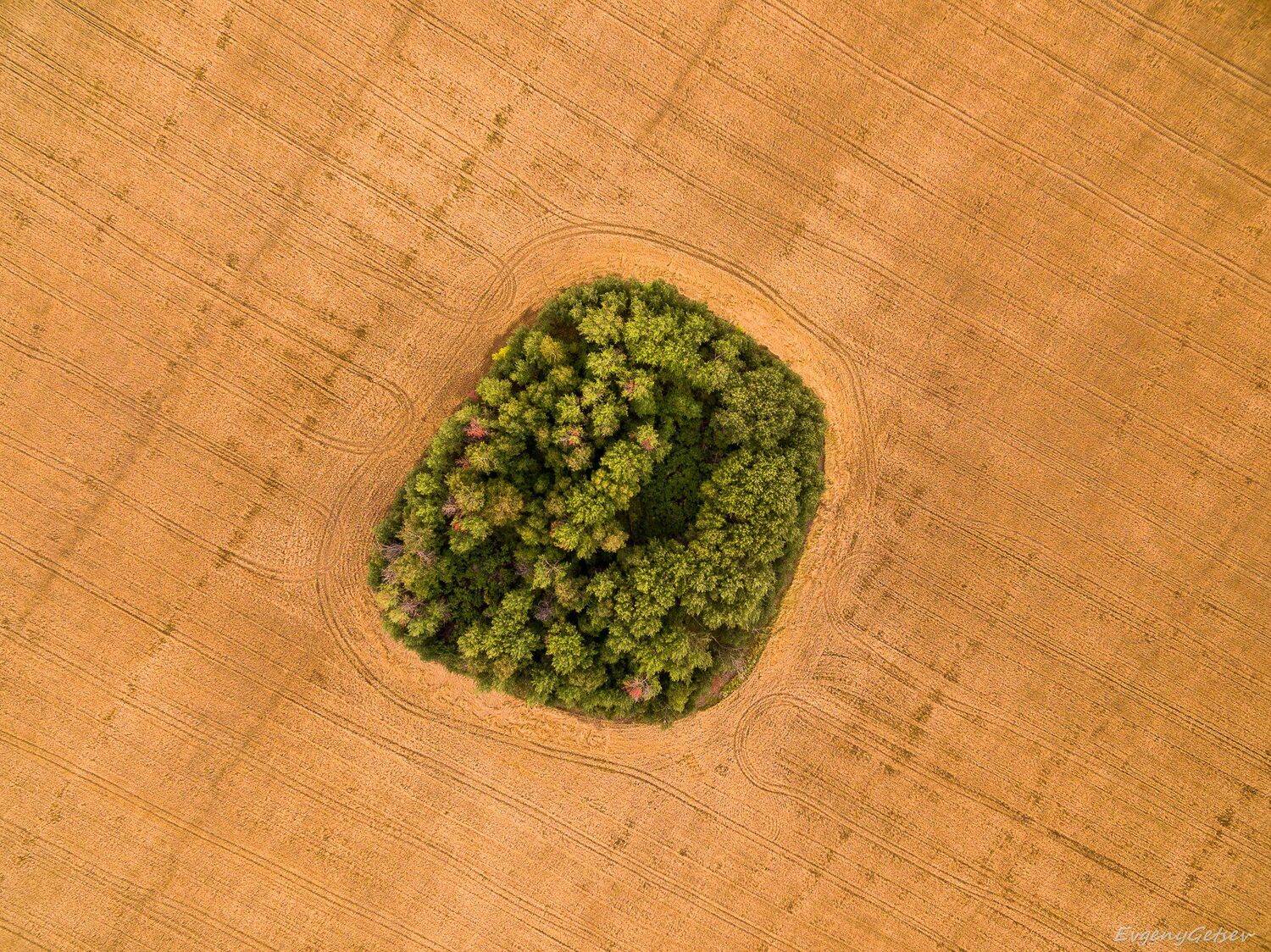 , Евгений Гецев