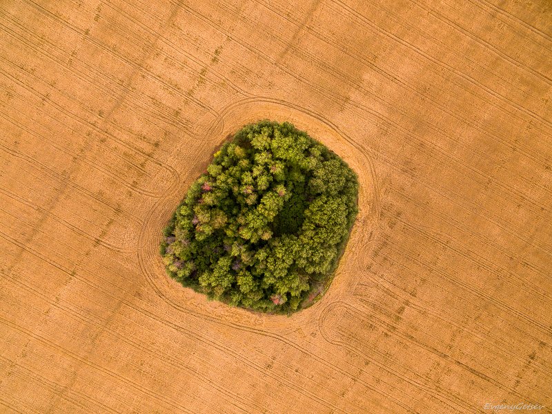 Необитаемый остров фото превью