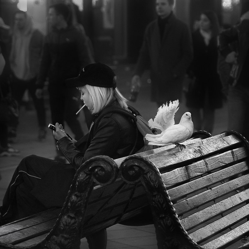 фото превью