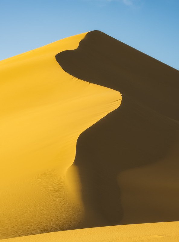 россия, дагестан, кавказ, горы, бархан, закат, природа, весна, пустыня, песок, линии Сарыкумская лаконичность. фото превью