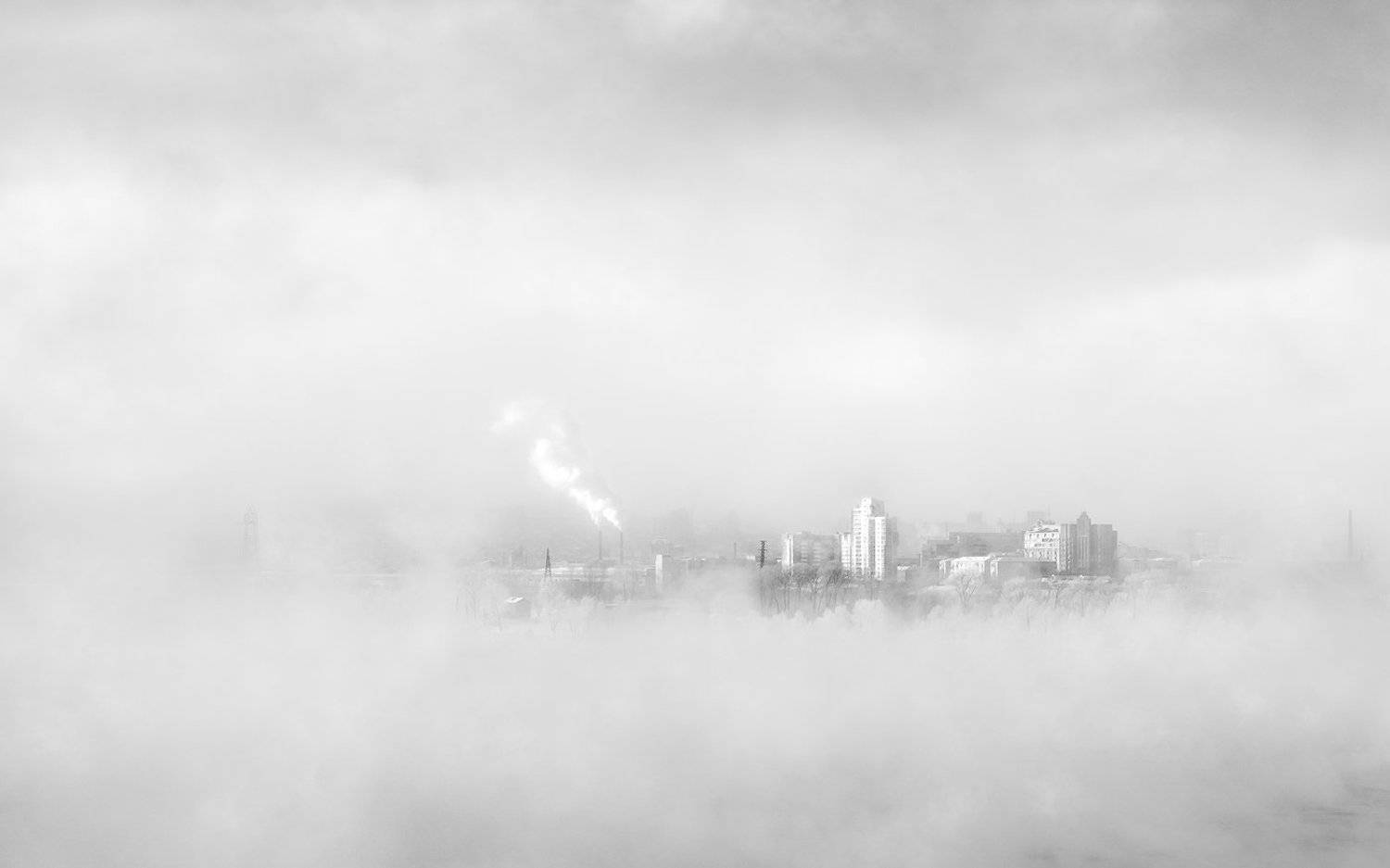 пейзаж, природа, чб, черно-белое, белый, светлый, зима, мороз, холод, лед, река, туман, иней, снег, город, красноярск, татышев, енисей, сибирь, пар, Дмитрий Антипов