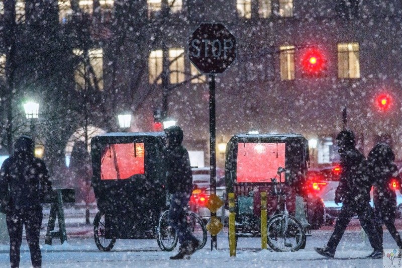 new york, Snow in New York фото превью