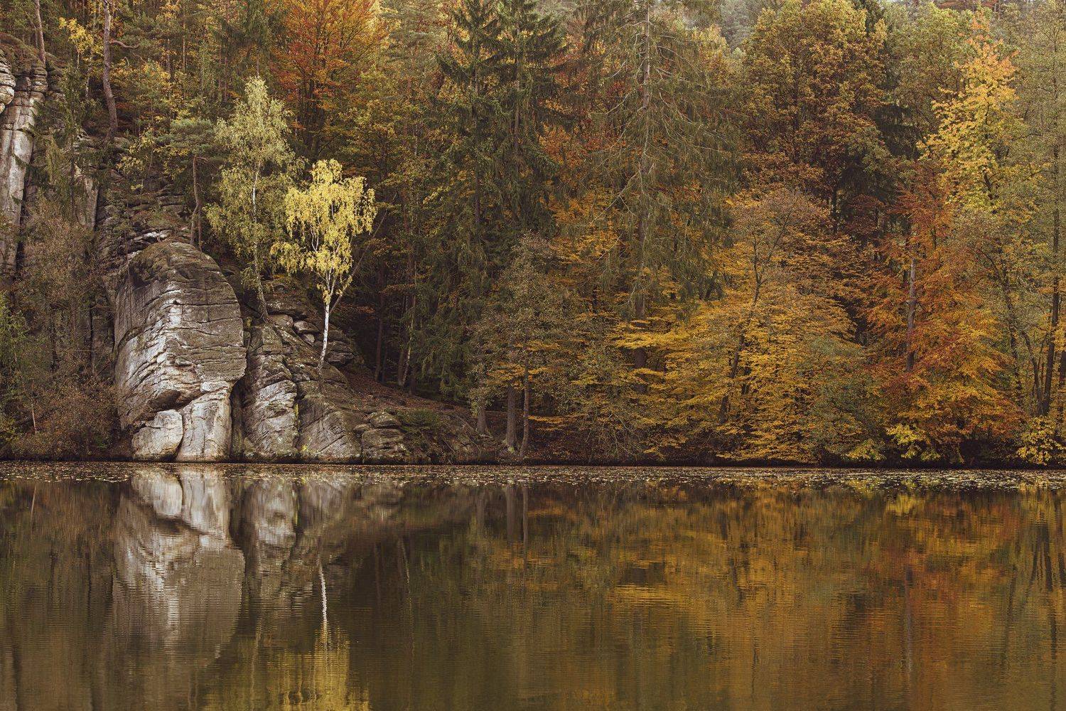 , Александр Лиходиевский
