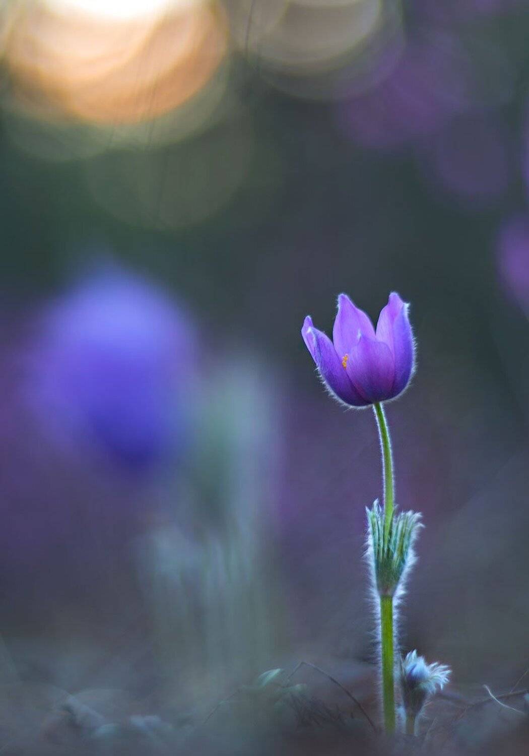 , Сергей Брагин