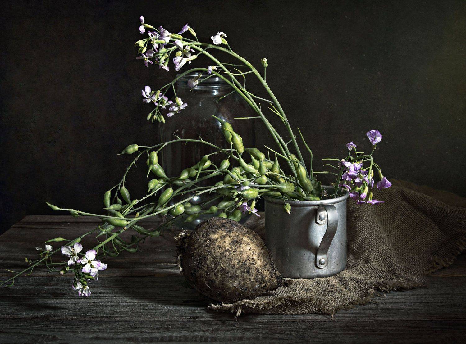 , Вера Лопатина