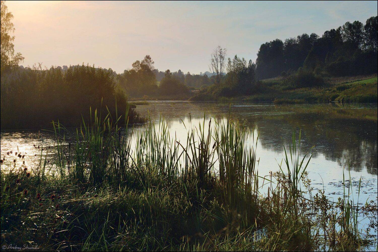 , Андрей Шумилин