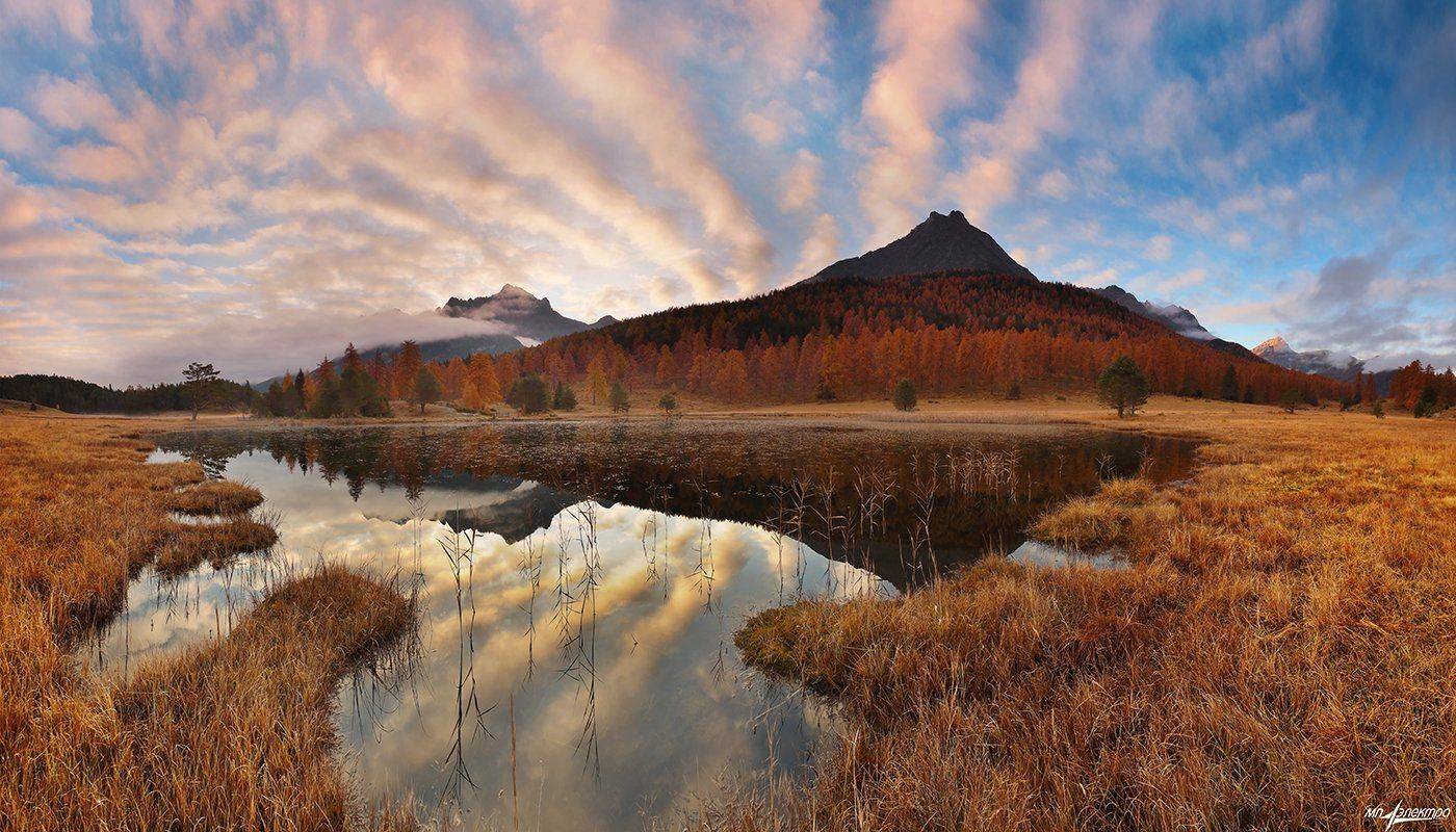 swiss, Матвеев Николай