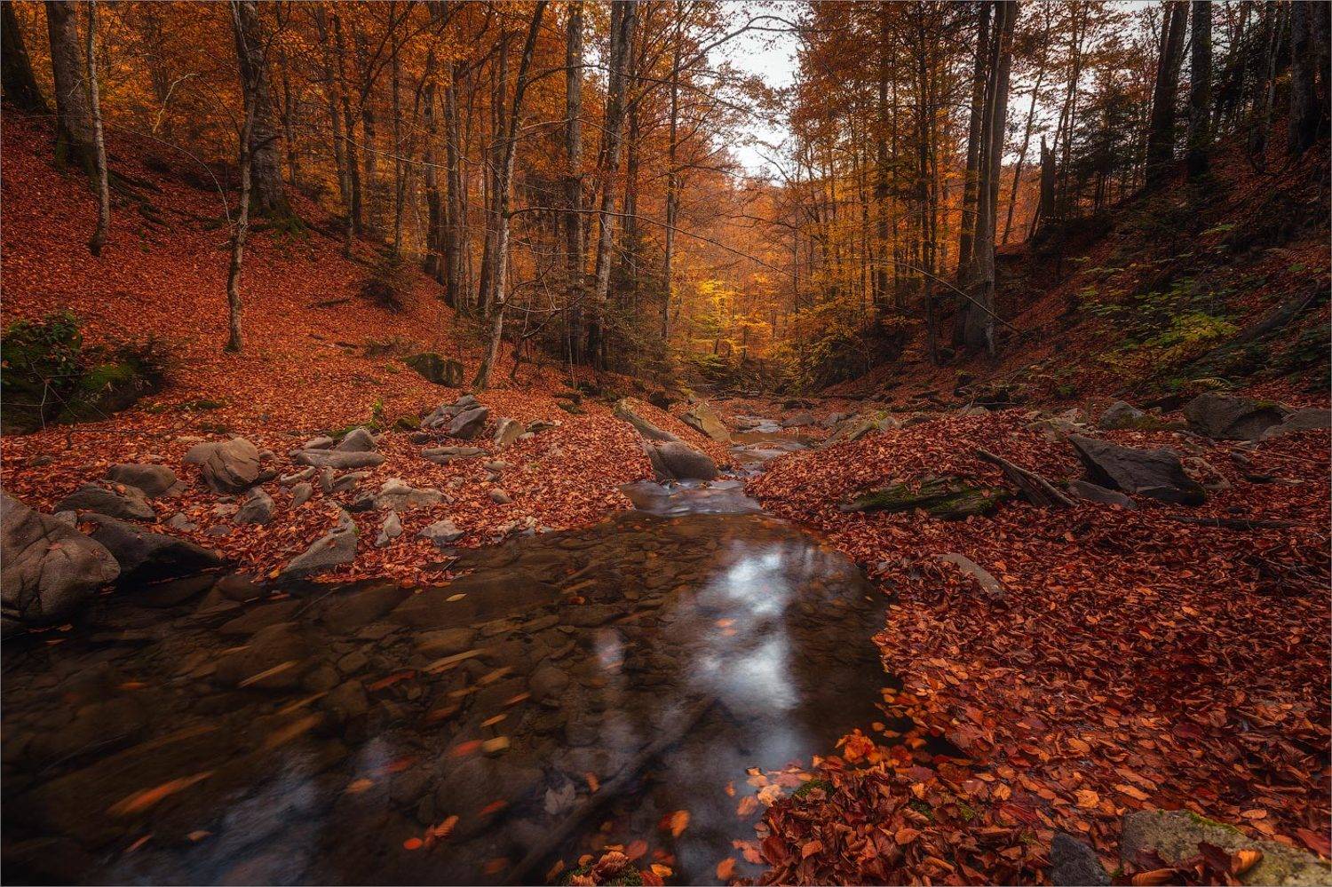 , Рудченко Анатолий