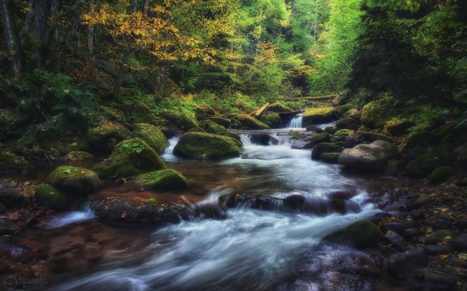 , Александр Круль