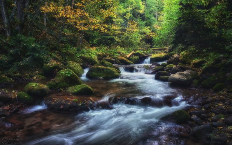 Шантацара... фото превью