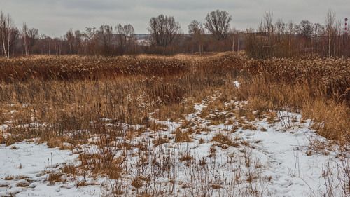 Осенняя зима...Январь 2020