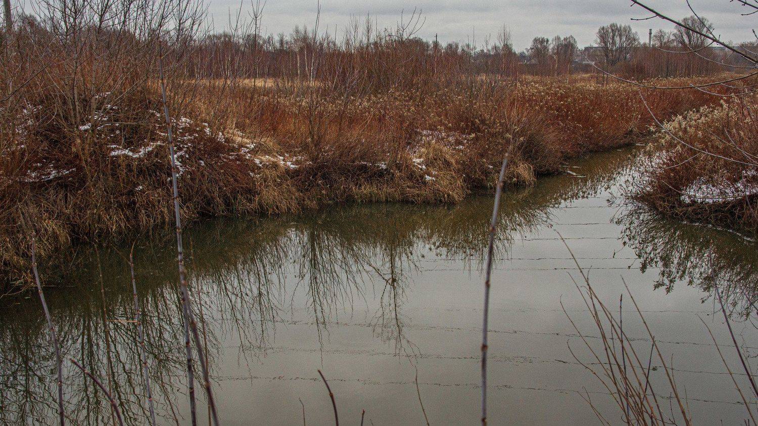 пейзаж, кулебаки, landscape, winter, зима, поле, трава, кустарник, field, grass, bush, вода, речка, water, river, Владимир Васильев