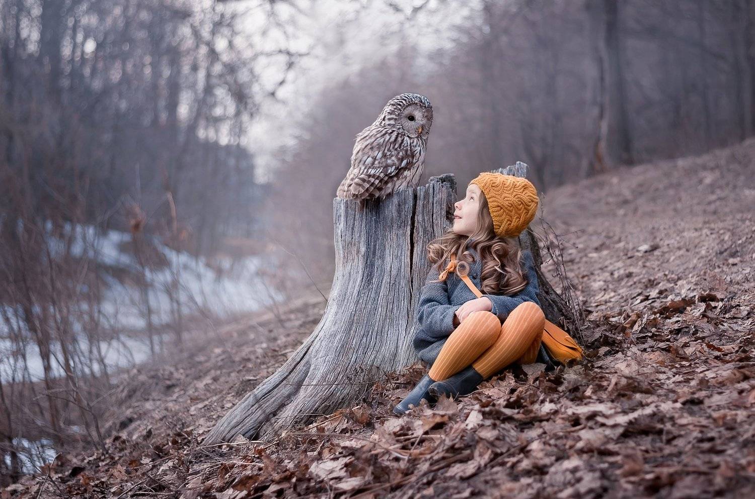 совы дети, Мария Чернова