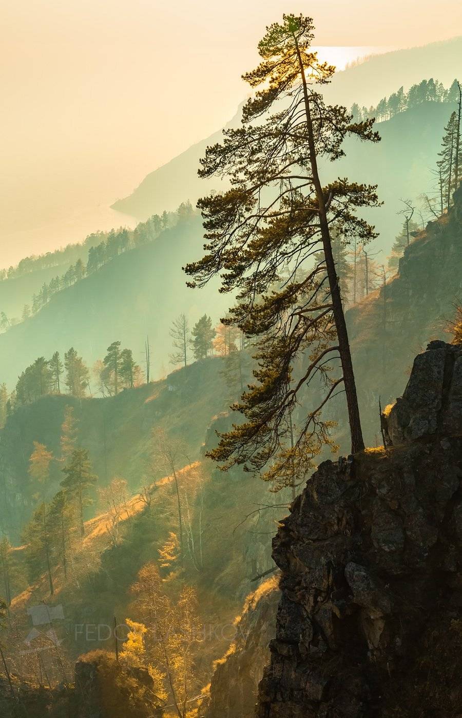 байкал, озеро, осень, сосна, дерево, вид, закат, солнце, скалы, иркутская область, горы, берег, дымка,, Лашков Фёдор