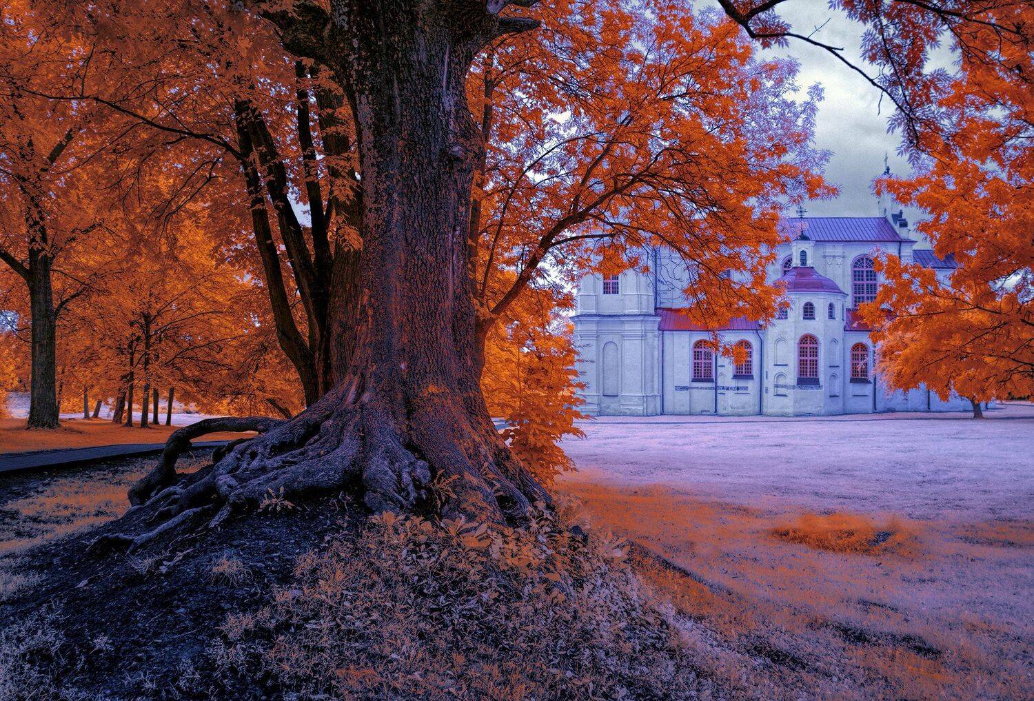 infrared,ик-фото,инфракрасное фото, инфракрасная фотография, пейзаж, лето, Sixten ( Сергей )