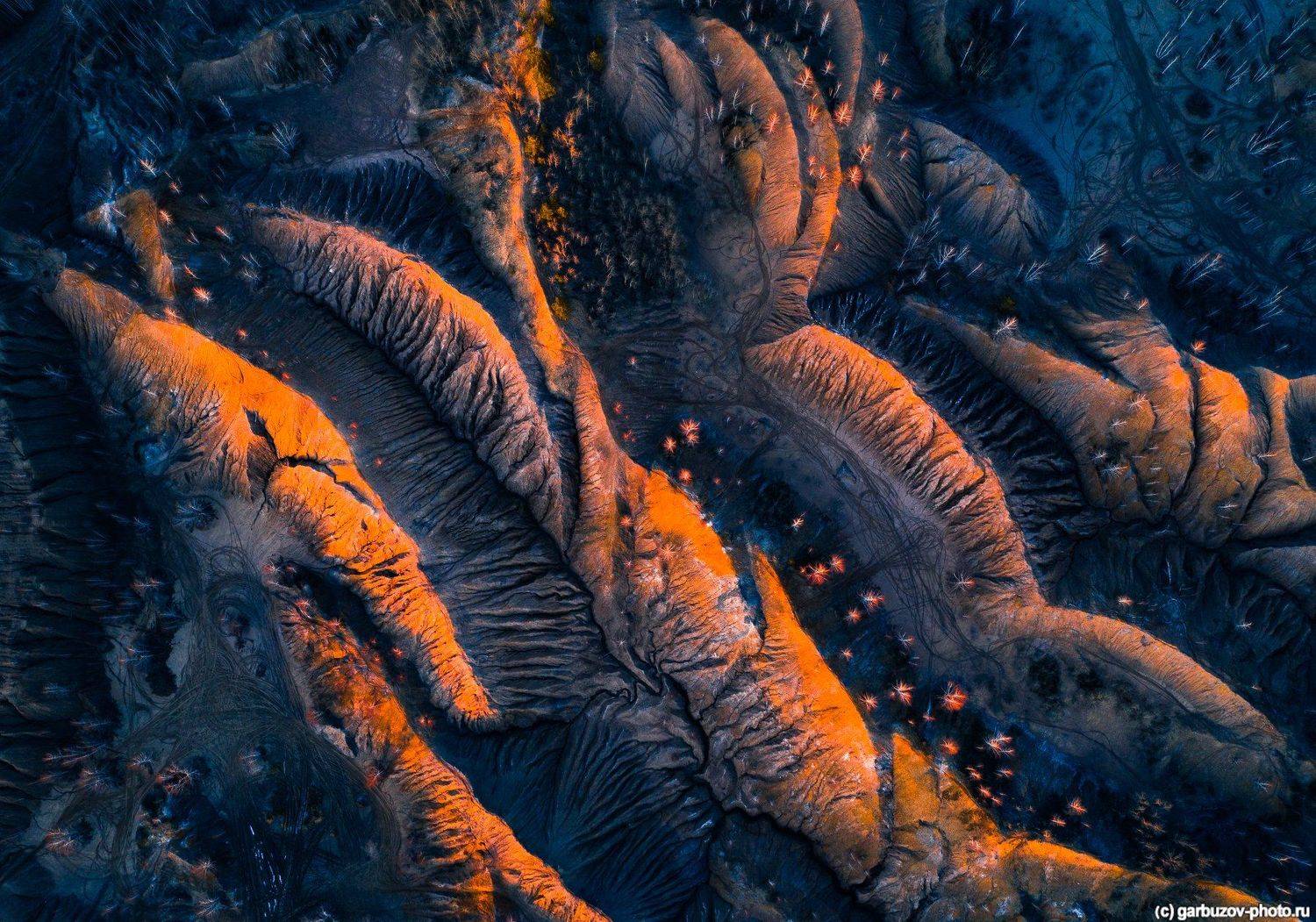 , Гарбузов Илья